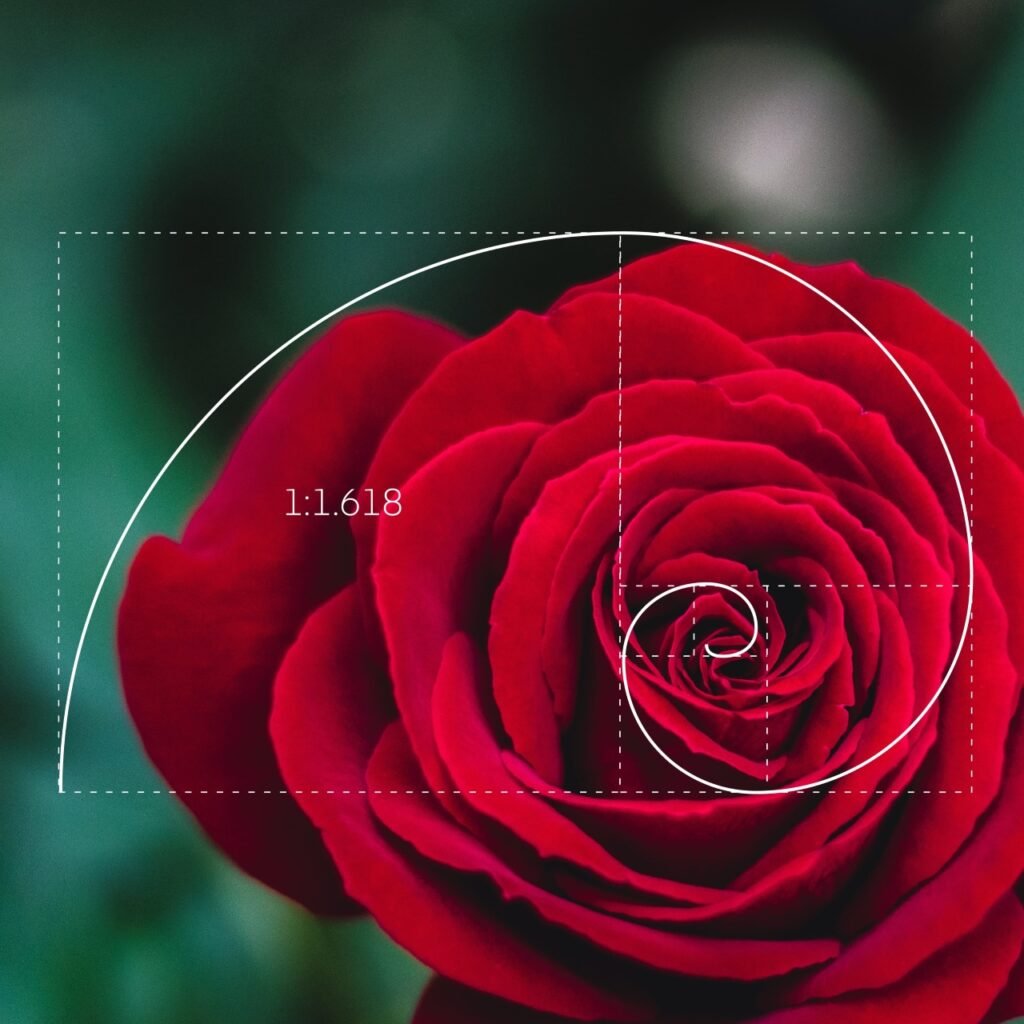 Organic architecture: Golden ratio