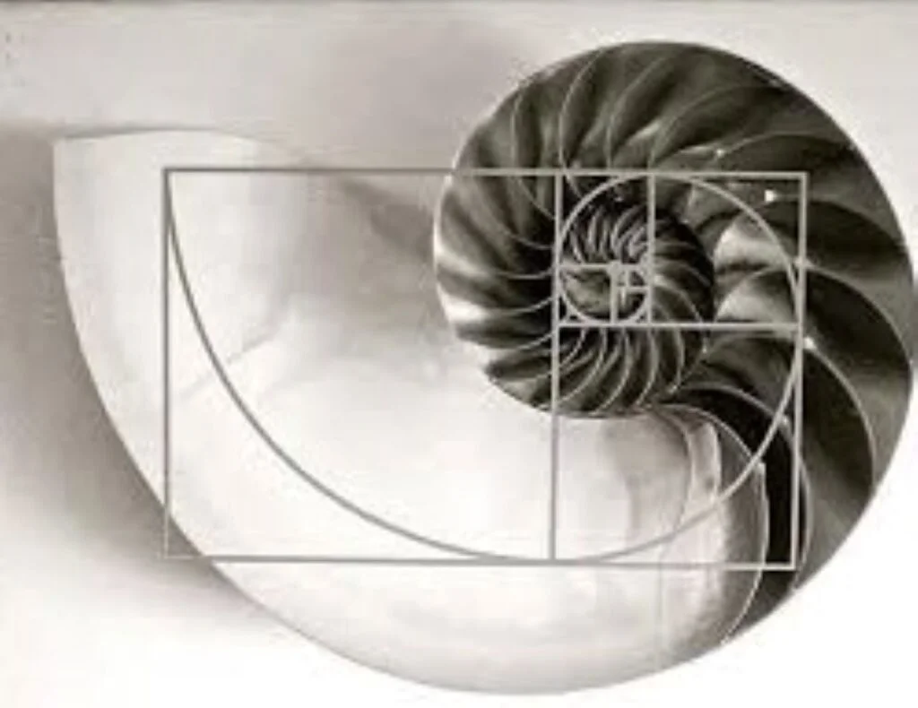 Golden Ratio