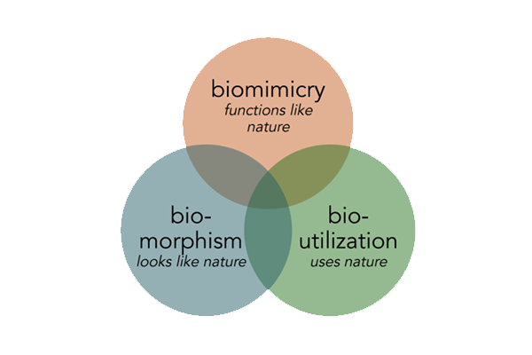 Biomimicry Architecture: A Unique Art of Mimicking other Types of Bio-inspired Design