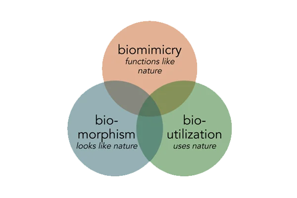 other Types of Bio-inspired Design