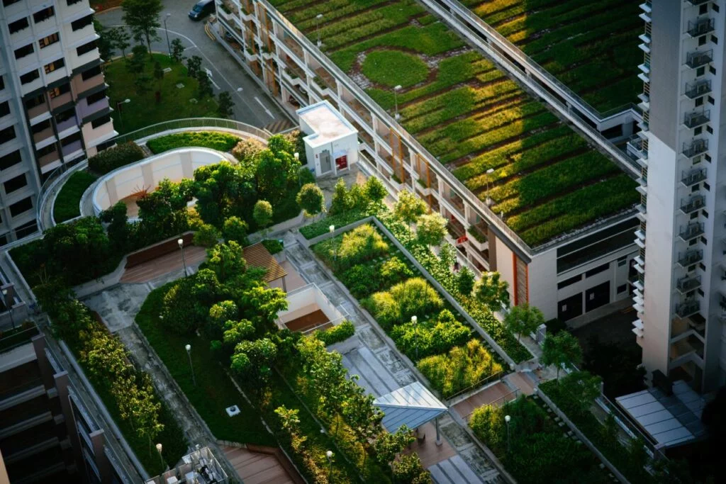 Roof Garden design