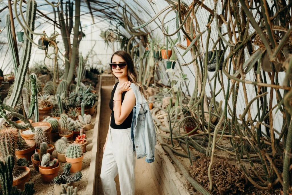 Succulent Gardens