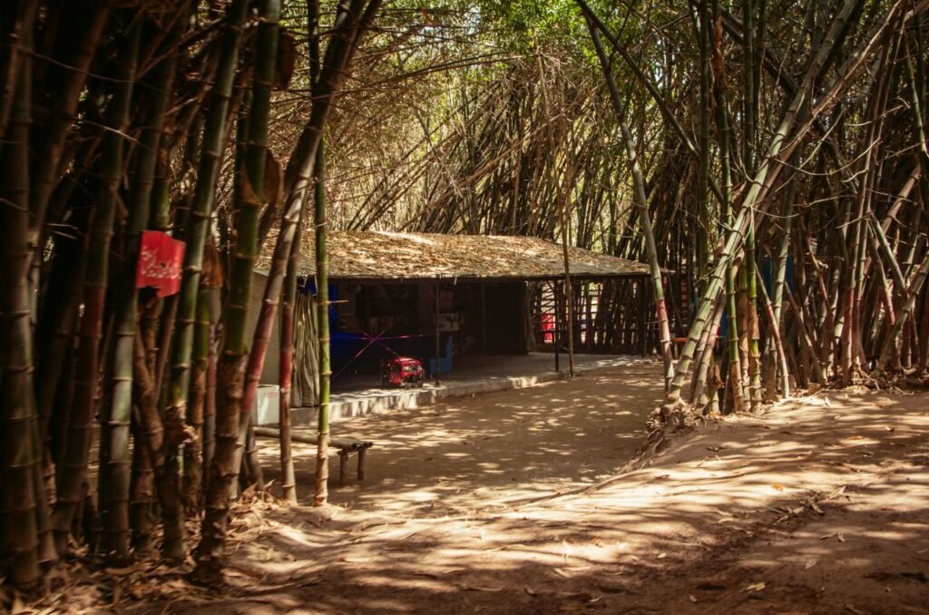 Green Architecture: An Essential and Sustainable Choice Bamboo