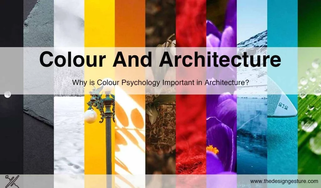 Colour