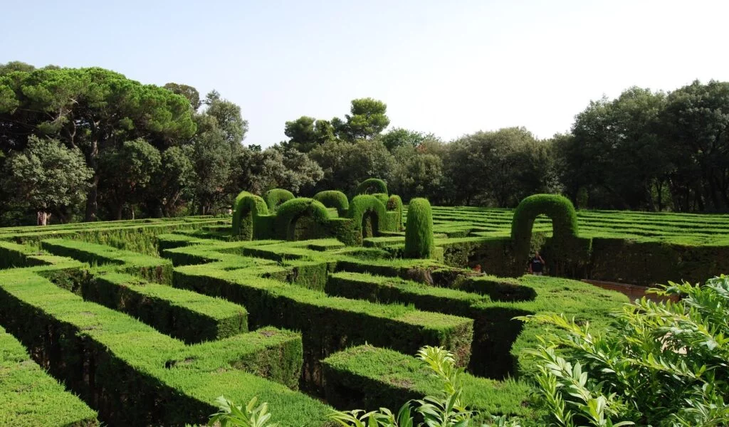 maze areas