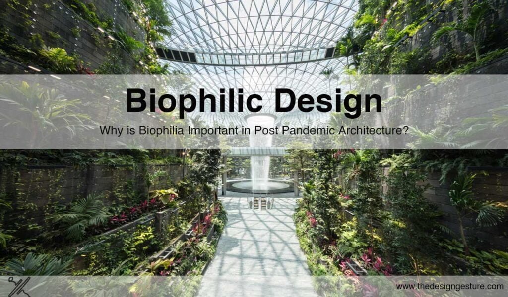 Biophilic Design: Why is Biophilia Important in Post Pandemic Architecture? Biophilic Design