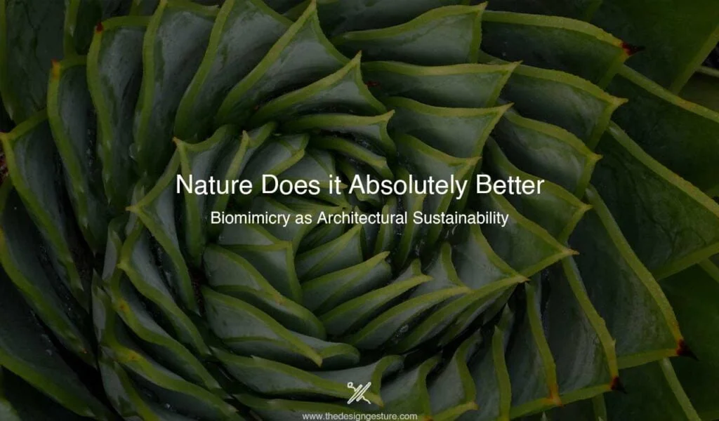 Nature does it absolutely better: Biomimicry as Architectural Sustainability All sciences use nature as their compass. Nature served as and still does serve as humanity's first teacher. Studying and imitating nature develops a certain field of inquiry. The term "biomimicry" refers to the imitation of organic biological processes in scientific inquiry. Biomimicry, a new area of study, is an innovation technique that looks for long-lasting solutions by imitating nature's well-established patterns. Biomimicry