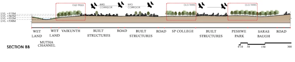 Showing Bird corridors
