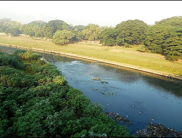 After - Channelization of the River