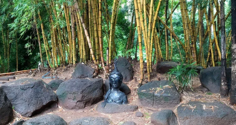 Exploring the City's Vibrant Parks: Pune's Urban Nature Wonders Pune is also home to some of the most beautiful gardens and parks. These areas of natural beauty provide a much-needed respite from the hustle and bustle of city life and are a great spot for locals and tourists alike to recharge and relax. From sprawling botanical gardens to tranquil zen gardens, Pune has something to offer every visitor.&nbsp; Parks