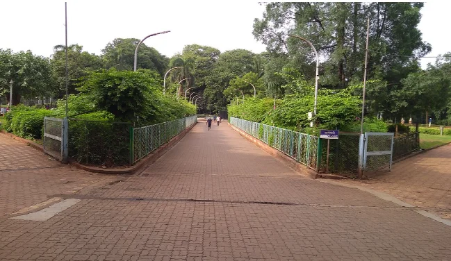 Saras Baug landscape 