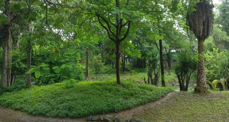 Osho Teerth park landscape
