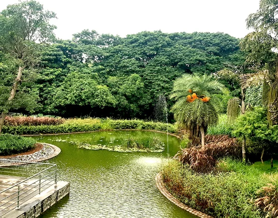 Stream Park, Nanded City 