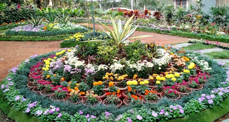 Empress Garden 