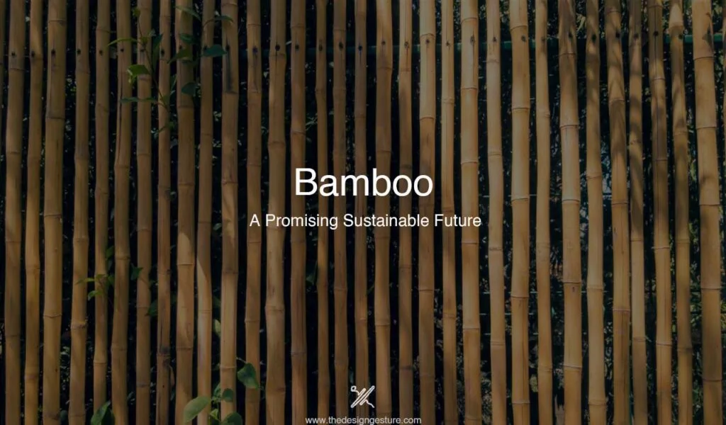 Bamboo
