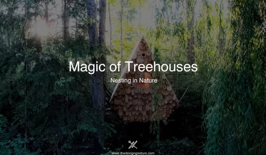 Magic of Treehouses