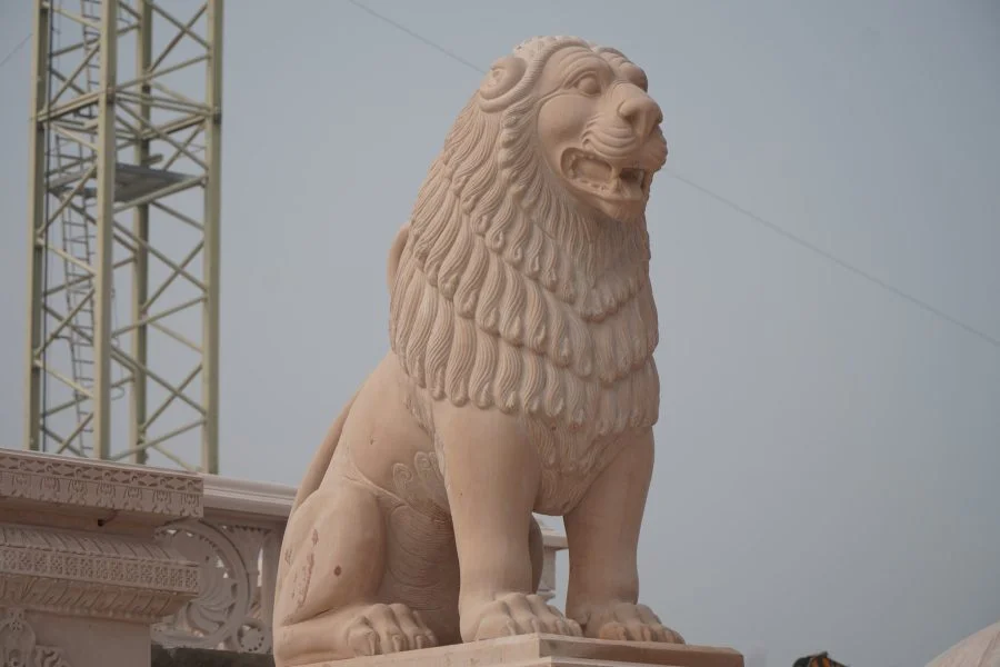 Decoding Divine Design: Ayodhya Ram Mandir's Architectural Secrets Revealed gate