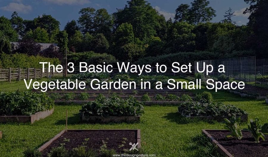 The 3 Basic Ways to Set Up a Vegetable Garden in a Small Space garden