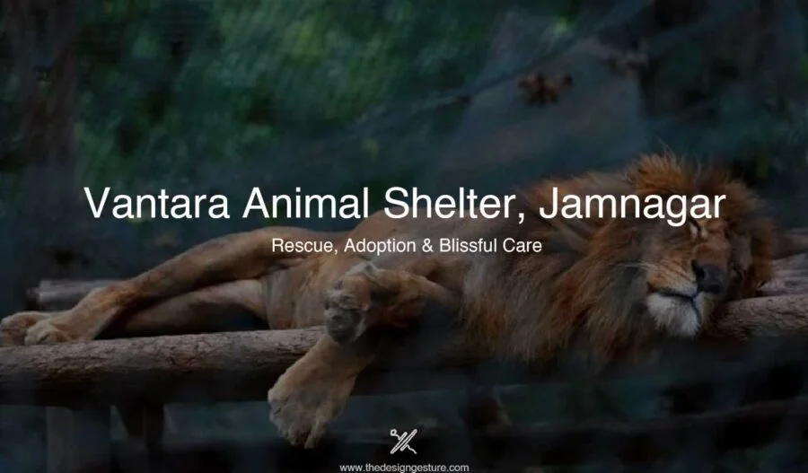 Vantara Animal Shelter, Jamnagar